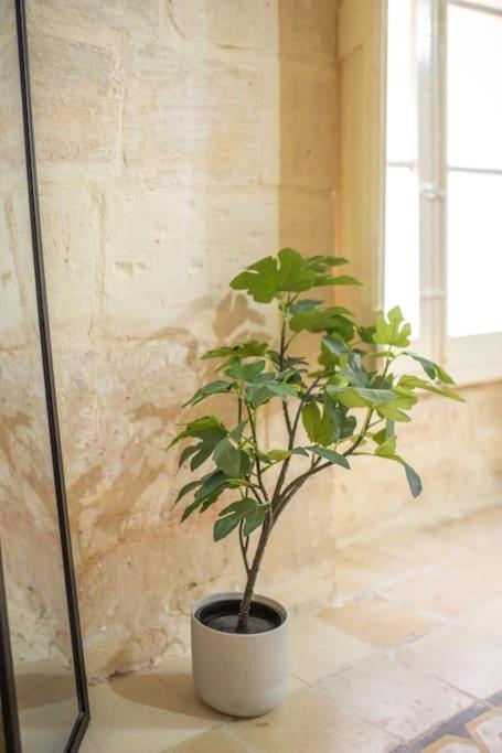 Chic, Stylish & Spacious Flat In Apartman Valletta