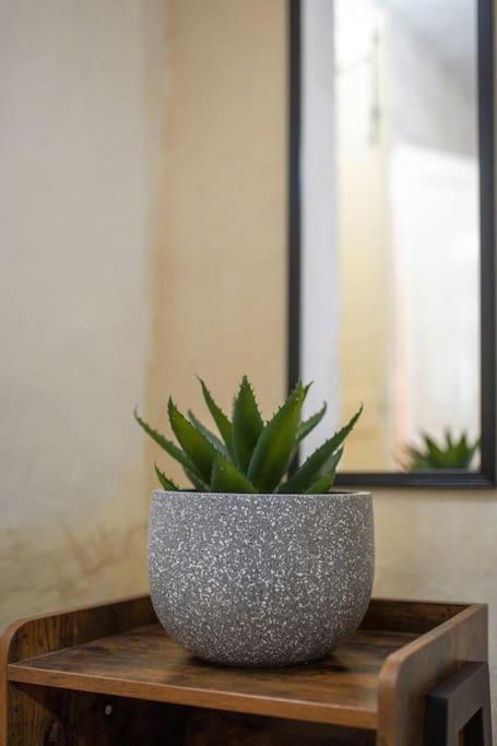 Chic, Stylish & Spacious Flat In Apartman